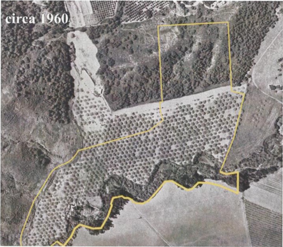 Aerial view of Valle Verde property, 1960